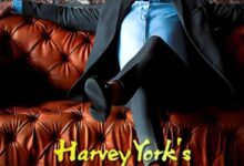 Harvey York's Rise To Power novel